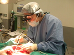 DSCF0928.JPG